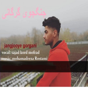 سجاد کرد جنگجویه گرگانیمه مه دلیرو جنگیمه